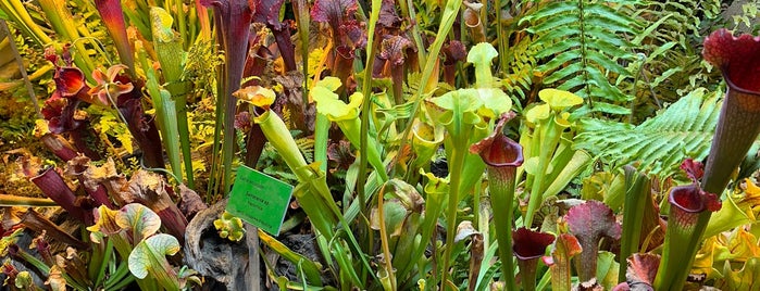 Palmiarnia Poznańska is one of .pl.