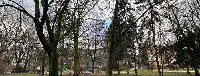 Park im. Kazimierza Wielkiego is one of Быдгосчь.