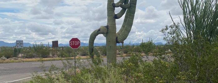 Organ Pipe National Monument - Kris Eggle Visitor Center is one of Places I Love & Frequent At!.