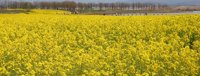 View Fukushimagata is one of 新潟.