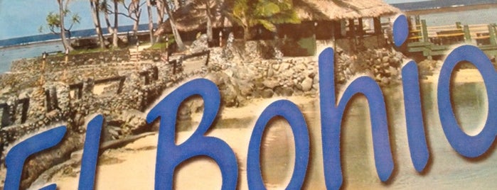 Rest. El bohio is one of Turismo Interno por PR.