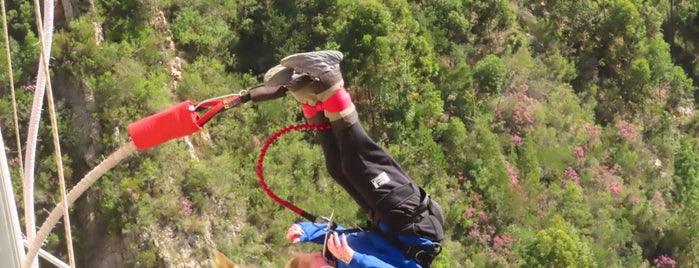 Bloukrans Bungy - Face Adrenaline is one of South Africa.