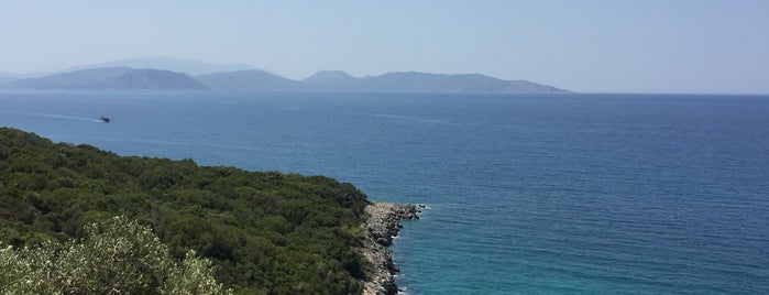 Dilek Yarımadası - Büyük Menderes Deltası Milli Parkı is one of สถานที่ที่ Gezginci ถูกใจ.