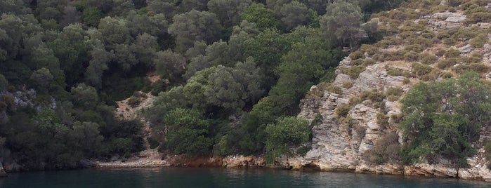 Sarsala Koyu is one of Gezginci'nin Beğendiği Mekanlar.