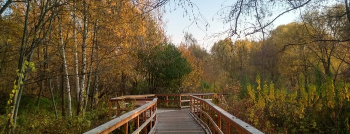 Парк усадьбы Свиблово is one of Home.