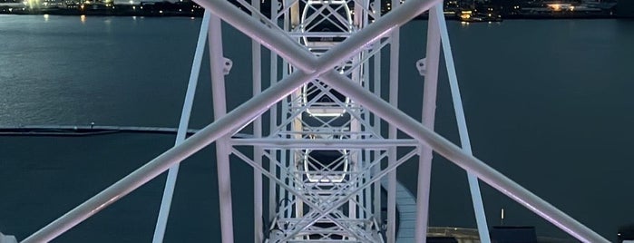 The Wheel of Liverpool is one of Historic Sites of the UK.