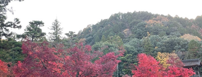 Eihoji Temple Garden is one of VisitSpotL+ Ver8.