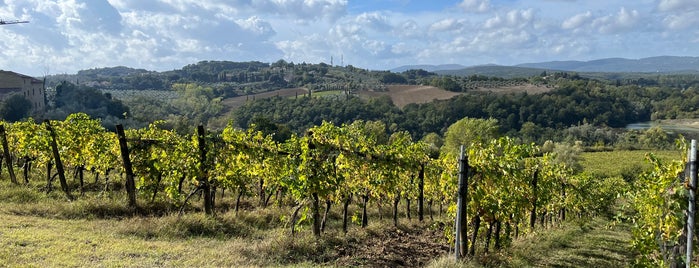 Azienda Agricola La Lastra is one of Favorite Places on Earth.