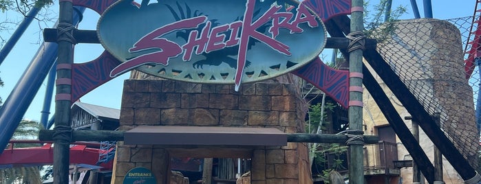 SheiKra is one of Busch Gardens.