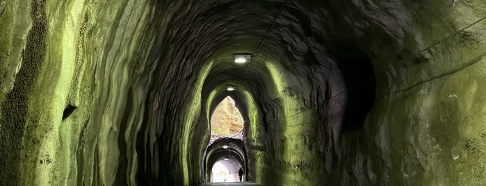 向山トンネル/共榮トンネル is one of 千葉県.