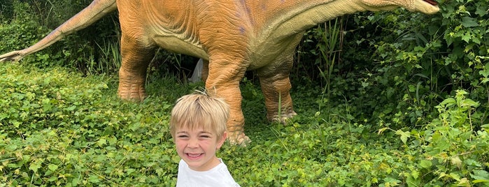 Field Station: Dinosaurs is one of NJ to do.