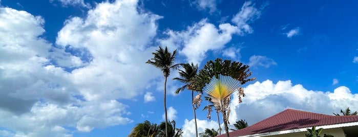 Radisson Grenada Beach Resort is one of Dyson Airblade.