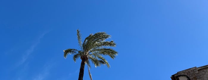 Molino is one of Port del Soller, Soller and Palma.