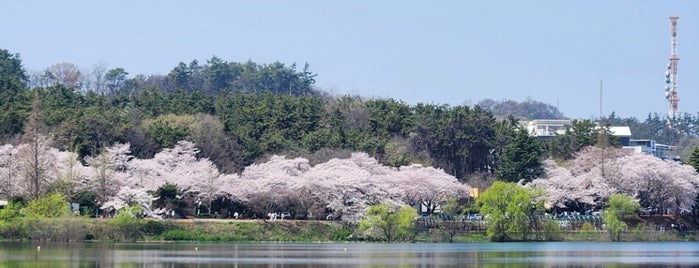 은파호수공원 is one of 군산투어.