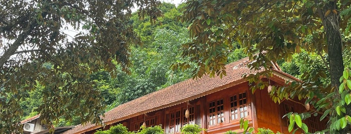 Thung Nham Nature Preserve is one of Ninh Binh.