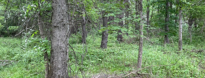 Peace Valley Nature Center is one of Lizzie'nin Beğendiği Mekanlar.