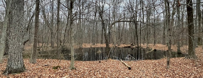 Loantaka Brook Reservation Recreation Area is one of 6/6.