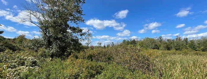 Lord Sterling Park - Environmental Education Center is one of Regional Activities.