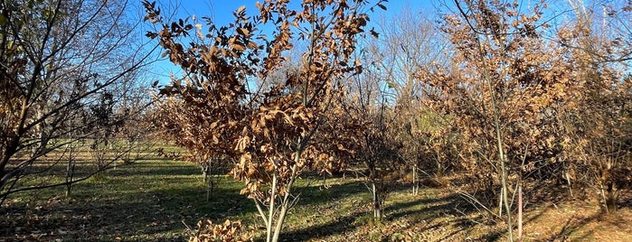 Lord Sterling Park - Environmental Education Center is one of Regional Activities.