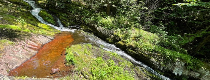 Tillman's Ravine Natural Preserve is one of BEST OF: Waterfalls.