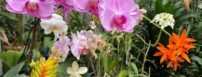 Duke Farms: The Orchid Range is one of New Jersey.