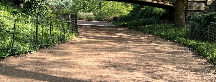 Pinebank Arch is one of central park.