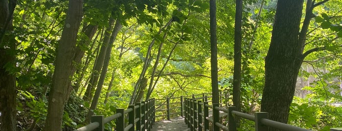 青葉中央公園 is one of 札幌の公園45.