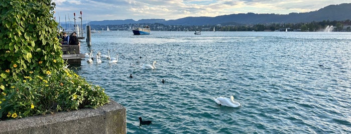 Seepromenade is one of Zurich.