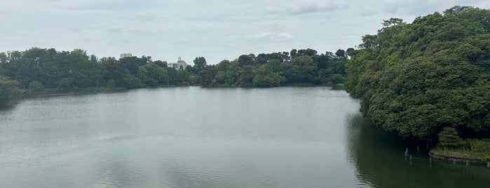 Senzoku Pond is one of 公園・庭園・寺社仏閣.