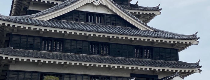 Nakatsu Castle is one of 軍師官兵衛.