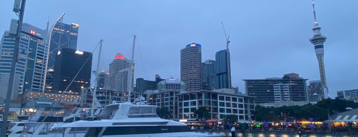 Viaduct Harbour is one of Auckland, NZ.