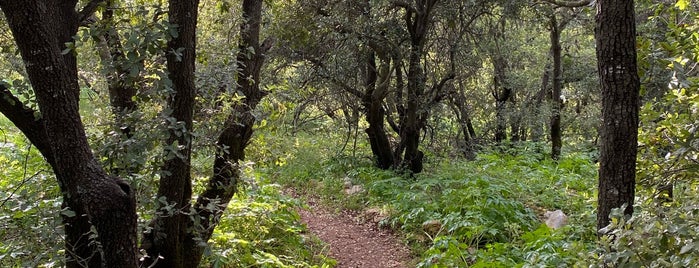 Ajloun Reserve is one of To Remember / Favorites.