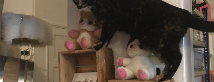 Pebbles Kitty Cat Café is one of Eirini'nin Beğendiği Mekanlar.