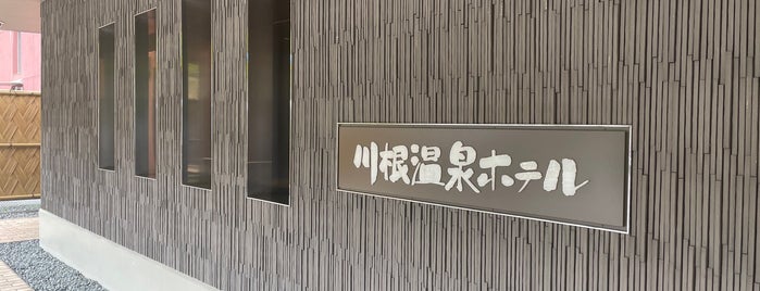 Kawane Onsen Hotel is one of 川根町.