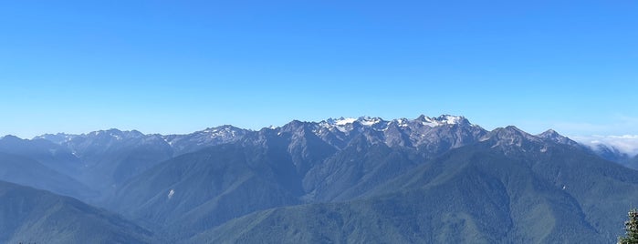 Hurricane Hill is one of Olympic National Park 💚.