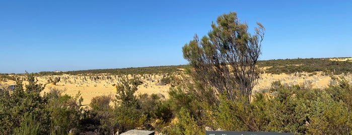Pinnacles Desert is one of Perth Trip.