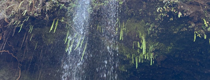 Twin Falls is one of Lieux sauvegardés par Bree.