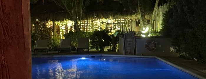 Petit Lafitte Hotel is one of Central America.