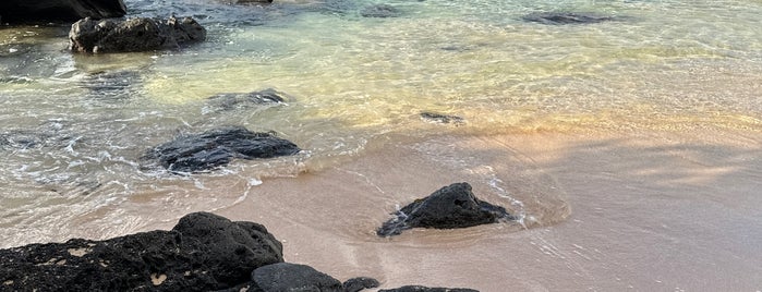 Kapalua Bay Beach is one of Maui.