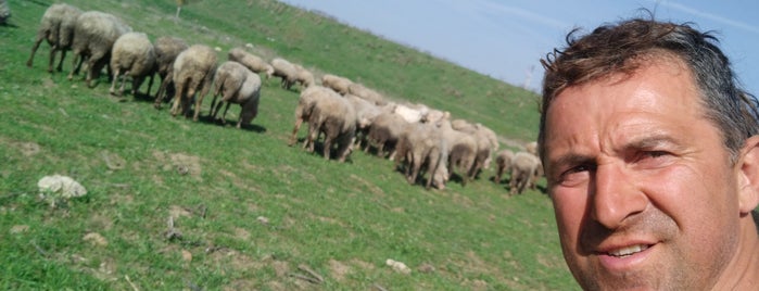 İpekyol Fabrikası is one of Ceyhan Ceylan Rambo.