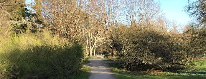 Meilahden Arboretum is one of Helsingin luonto.