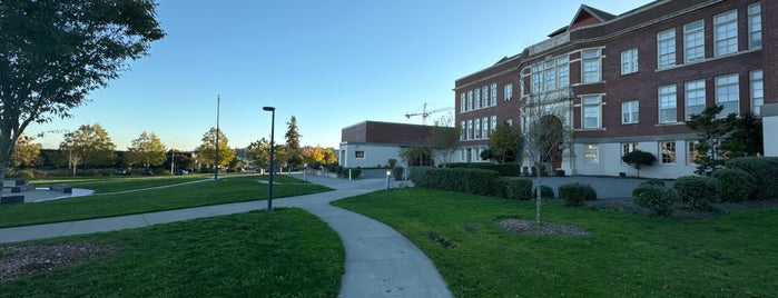 Jimi Hendrix Park is one of Seattle's 400+ Parks [Part 1].