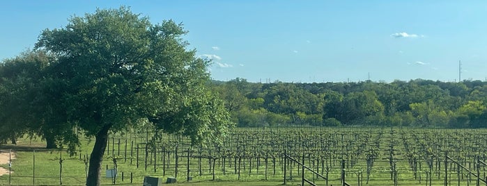 Hill Country Vineyards