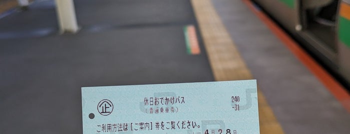 JR Totsuka Station is one of JR湘南新宿ライン.
