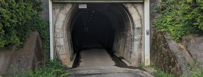 御岳トンネル is one of 東京⑥23区外 多摩・離島.