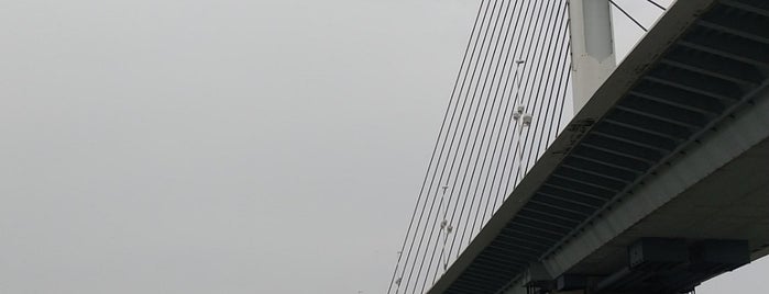 かつしかハープ橋 is one of 土木学会田中賞受賞橋.