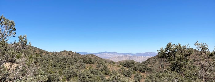 Inyo National Forest is one of California National Forests.