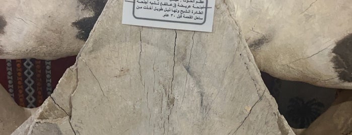 متحف علي محمد الجحل is one of ابها البهيه.