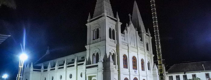 Santa Cruz Basilica is one of Kerala i.