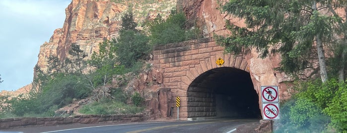 Zion-Mount Carmel Highway Tunnel West Stop is one of West Coast USA.